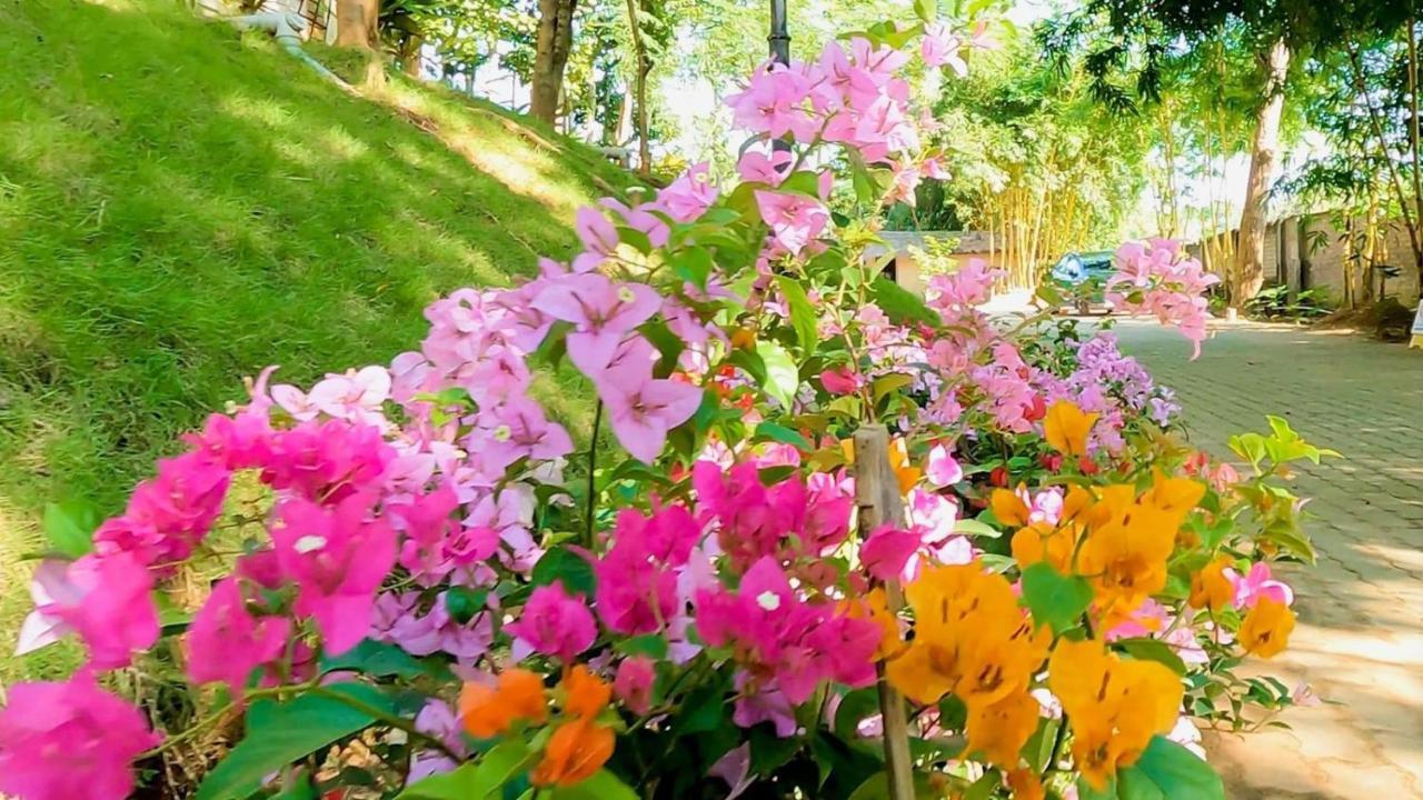 Bougainvillea Retreat & Spa Kaharpara Εξωτερικό φωτογραφία