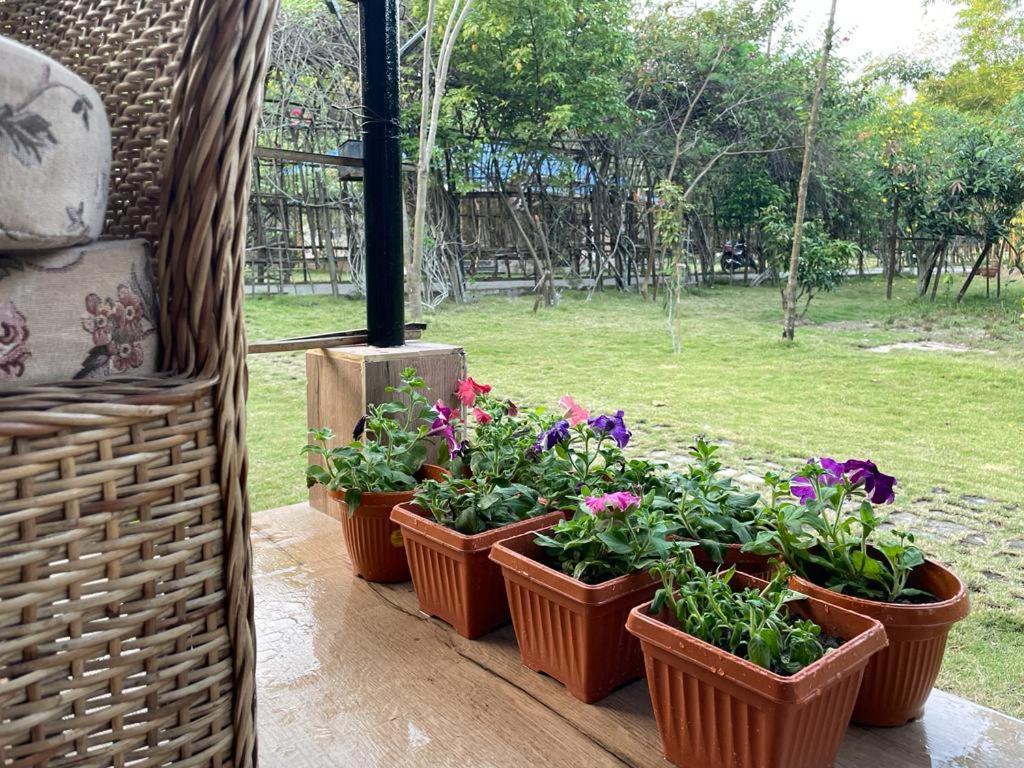 Bougainvillea Retreat & Spa Kaharpara Εξωτερικό φωτογραφία